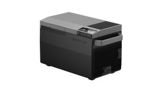 Холодильник EcoFlow Glacier ZYDBX100-EU фото