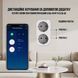 Смарт розетка Wi-Fi TUYA 16A (2 розетки) з моніторингом електроенергії та керуванням зі смартфона RD1001S2W16 фото 4