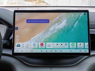 Голосовий помічник українською мовою BYD PG1003 фото