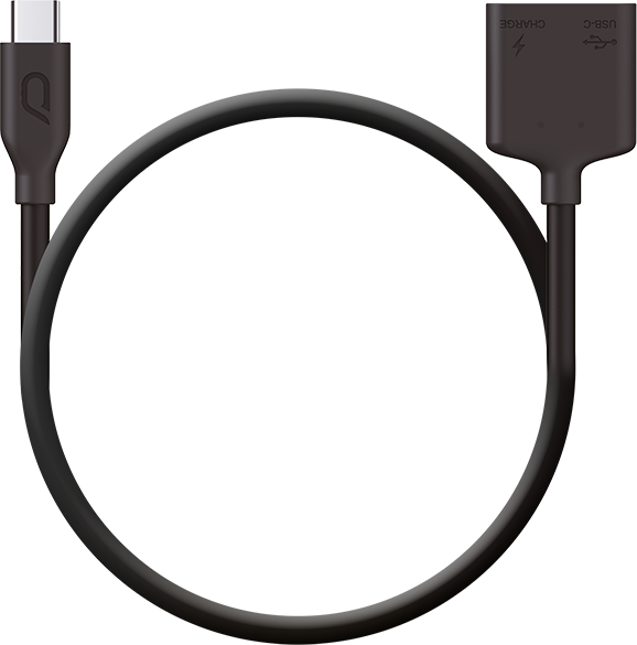 Адаптер KanDao QooCam 8K 2 in 1 USB cable with dual type C ports (for live streaming via Android cellphone, release in April 15th) 3988 фото